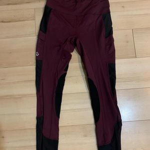 Horse ware breeches